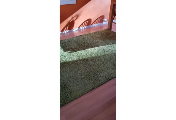 Tapijt Groen - 20250503_085735