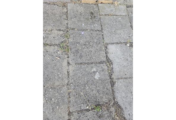 Tuintegels (30×30 en 25×30) - 20260814_153158