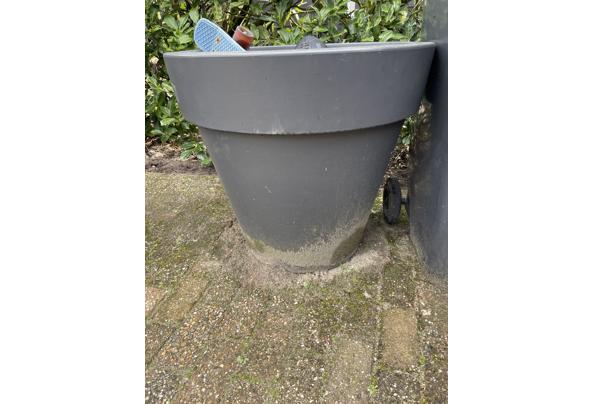Grote grijze Elho pot met inhoud ( aarde en hydrokorrels - IMG_5922