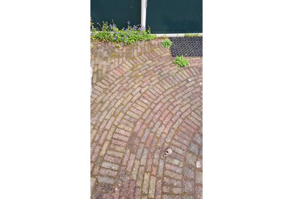 Gebruikte waaltjes tuin - 20250528_122759
