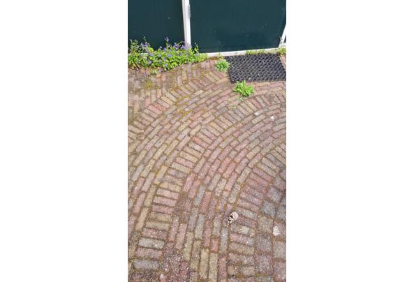 Gebruikte waaltjes tuin - 20250528_122801