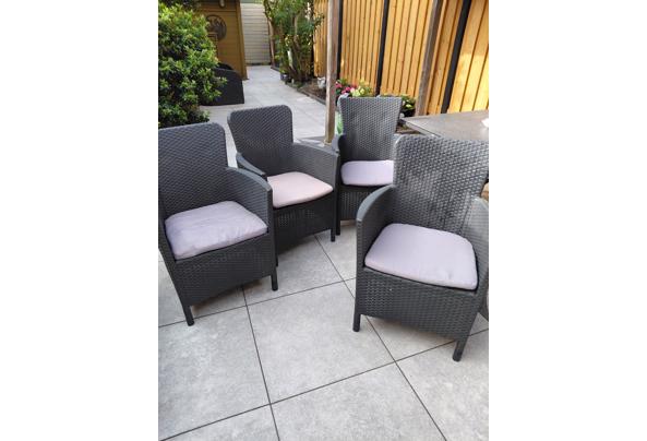 TUINSTOELEN voor zonliefhebbers - 20250726_093355
