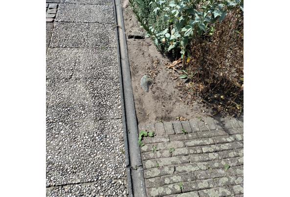 afvoergoot of molgoot voor in bestrating - Molgoot-(2)