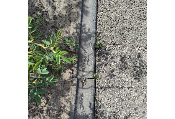 afvoergoot of molgoot voor in bestrating - Molgoot