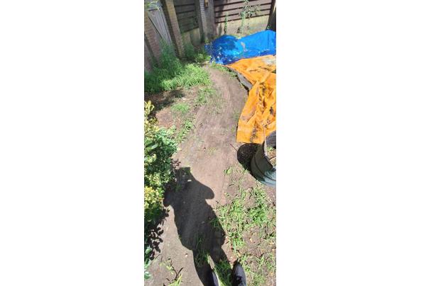 +/- 20m² Klinkers en stenen  - IMG-20240724-WA0004