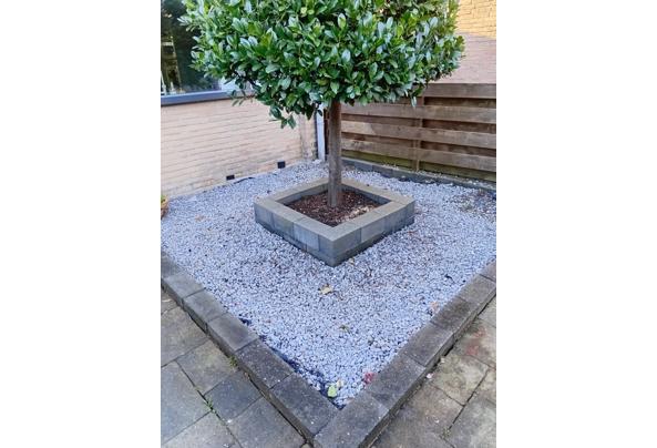 Basalt split / grind, anthraciet-zwart - Split-grind-02