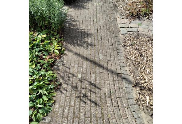 Mooie waaltjes voor in de tuin - Betonklinkers-(2)
