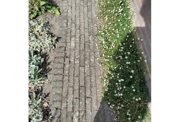 Mooie waaltjes voor in de tuin - Betonklinkers