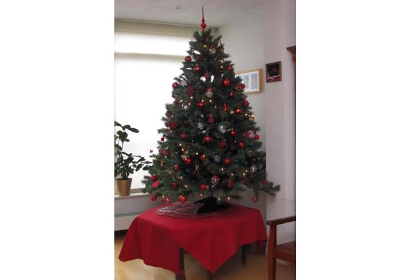Kunstkerstboom met verlichting - IMG-20261008-WA0001(1)(1)