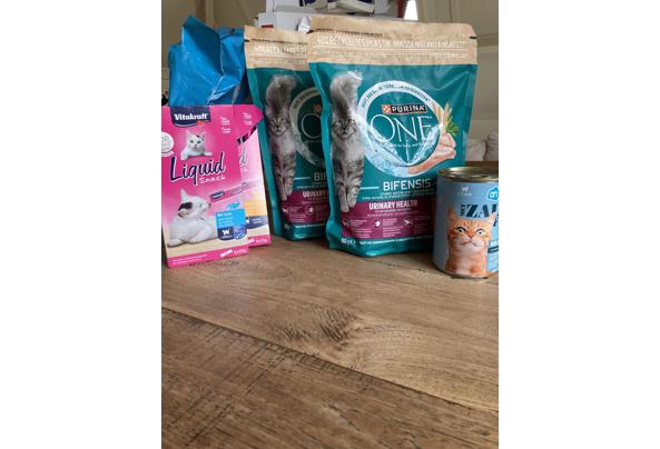 Verschillende soorten kattenvoer en snacks - image