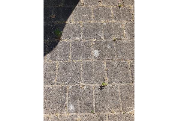 Tuintegels sierbestrating 15x15 cm. 25 m2 - 20230613_161921