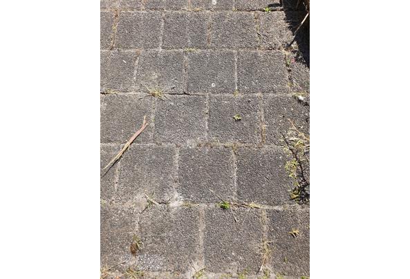 Tuintegels sierbestrating 15x15 cm. 25 m2 - 20230613_161946
