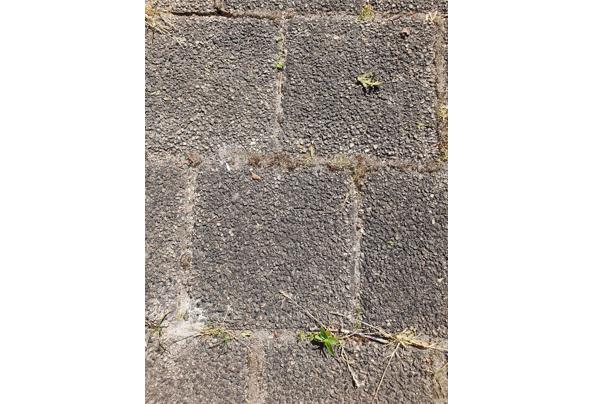 Tuintegels sierbestrating 15x15 cm. 25 m2 - 20230613_161948