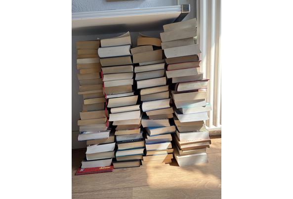 Ongeveer 70 boeken, alles in 1x mee - IMG_5448