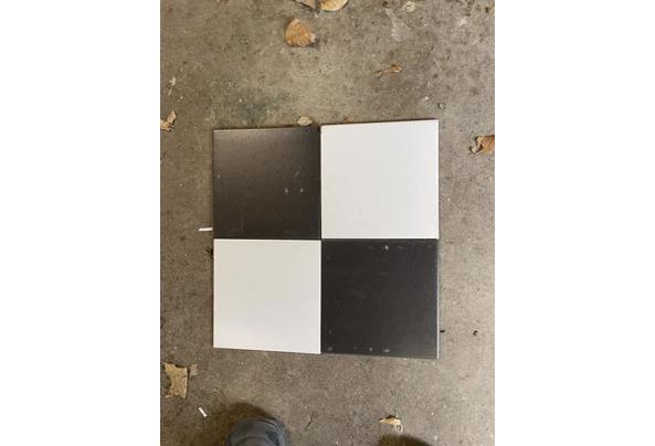 Tegels Sphinx 20x20 zwart en wit - IMG_8662
