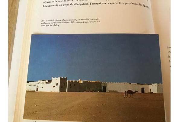 Afrika, Het oerwoud ,woestijn ,steppe , enorme vegetatie.TOP - IMG_16519_637504489751705563