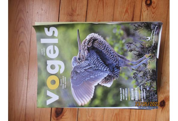 Vogelbescherming Vogels tijdschrift - IMG_0239