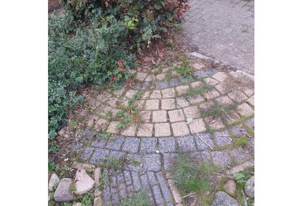 Tuinstenen - 20260915_173518