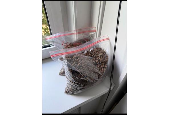 Voer 3kg wellness Core Grain Free Puppy  - IMG_0432