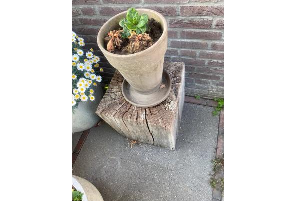 gratis eiken blokken met duddah beeld - blok4 gratis eiken blokken met duddah beeld - blok4