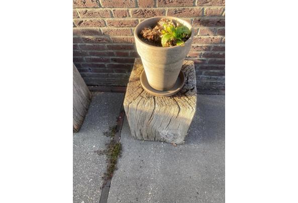 gratis eiken blokken met duddah beeld - eiken-3 gratis eiken blokken met duddah beeld - eiken-3