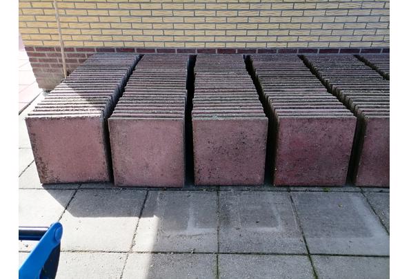 betontegels - IMG_20220914_130556