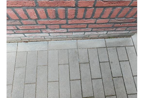 Sier antraciet grijs Beton klinker 10 cm x 30 cm x 6 cm hoog. - IMG20260730090638