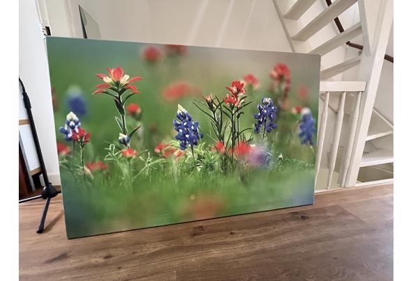 Groot canvas foto gras met bloemen  - IMG_0692