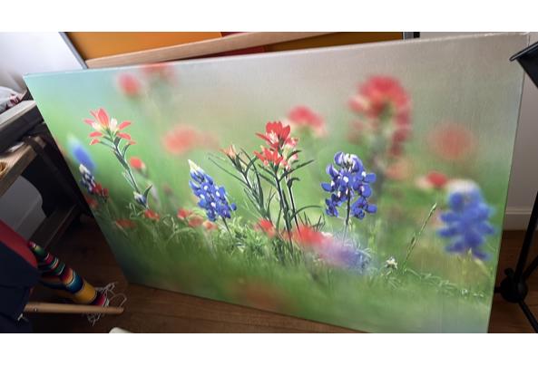Groot canvas foto gras met bloemen  - IMG_0693