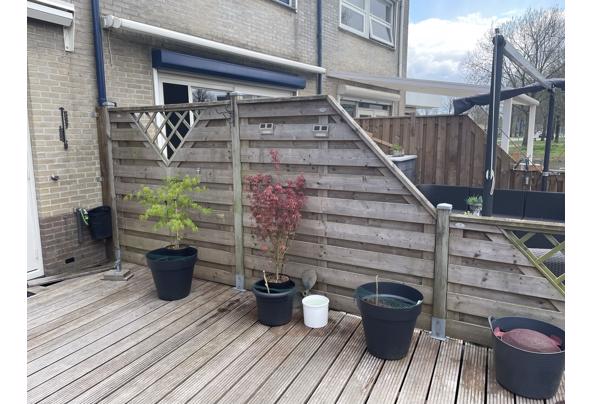 Gratis af te halen houten schutting - 61D519FB-753D-4B47-BA60-A99AF560AC23