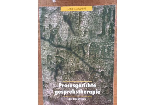 Procesgerichte gesprekstherapie  Hans Swildens   1997 - 20250121_133909