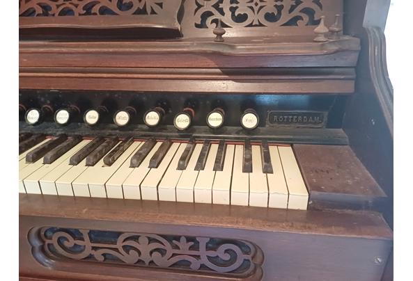 Harmonium, trapharmonium - 20240429_111114