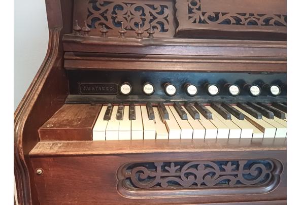 Harmonium, trapharmonium - 20240429_111123