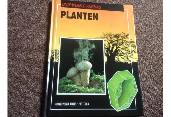 Boeken ; Onze Wereld Vandaag ; 16 Prachtige boeken, leerzaam - IMG_7039_637513962147256180