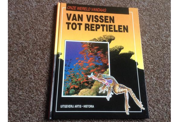 Boeken ; Onze Wereld Vandaag ; 16 Prachtige boeken, leerzaam - IMG_7047_637513962747526259