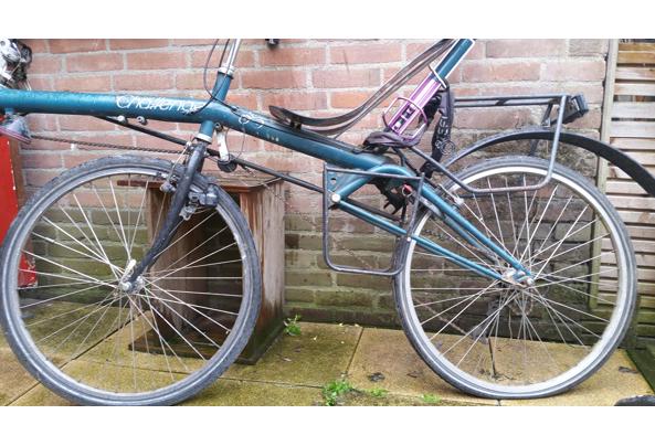 Ligfiets Challenge Wing - breed