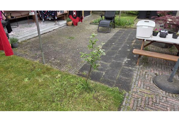± 20m² klinkers en tegels - IMG-20260504-WA0005