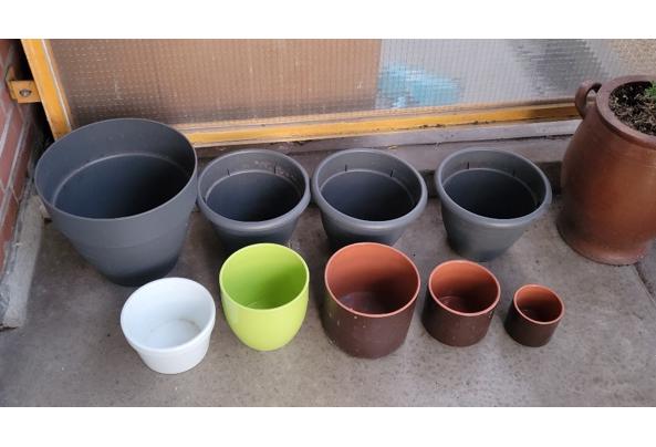 Plastic en keramiek bloempotten - 20260406_202638_resized