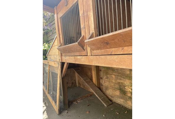 Groot konijnenhok - IMG_1565