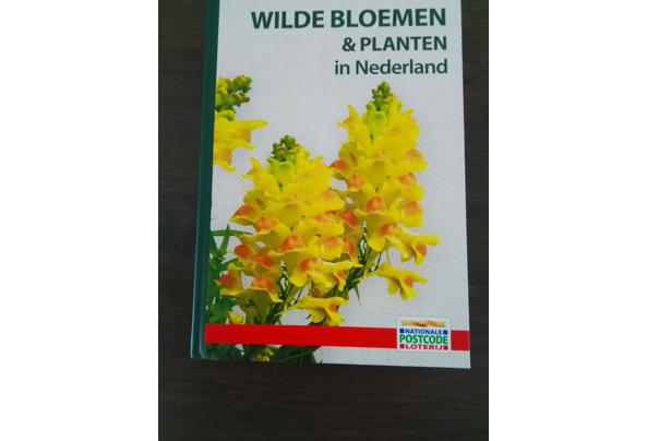 Postcode boek bloemen - 20240608_141410