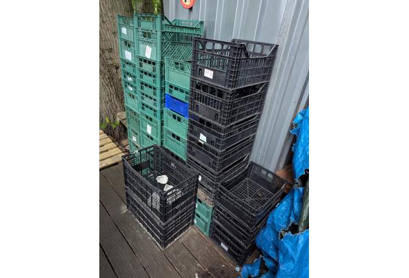 Plastic kratjes - PXL_20250804_163755916