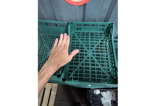 Plastic kratjes - PXL_20250804_163810127