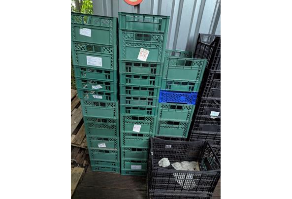 Plastic kratjes - PXL_20250804_163815494