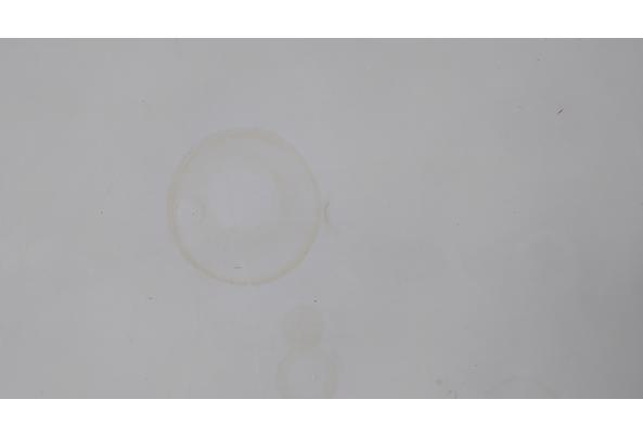 Grote witte tafel met x-poten (220 x 100) - IMG_20260425_134656
