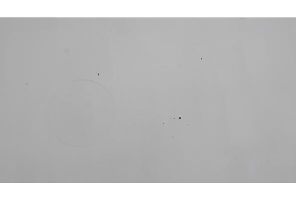 Grote witte tafel met x-poten (220 x 100) - IMG_20260425_134705