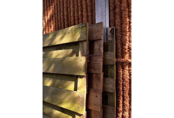 Schutting  - IMG_4797