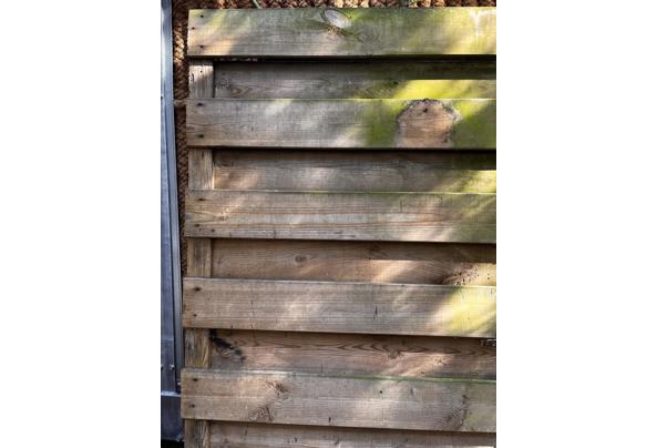 Schutting  - IMG_4798