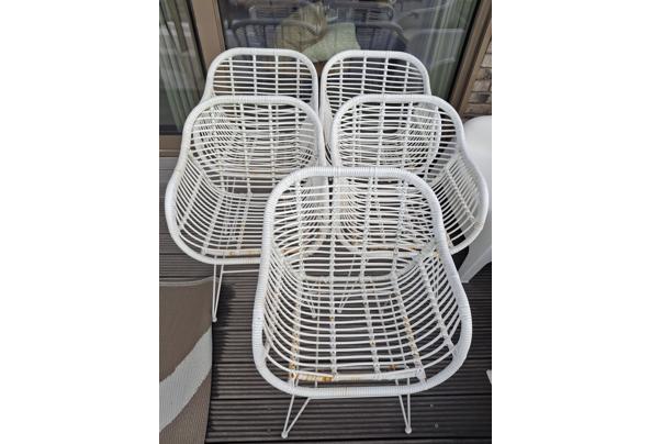 5 tuinstoelen - 20260610_161821