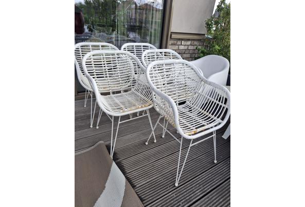 5 tuinstoelen - 20260610_161832