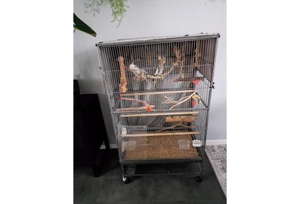 Voerbakje voor vogels - Kooi kopen? | | Lage prijs